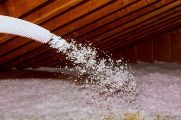 Best Insulation Removal Services  in Black Creek, WI