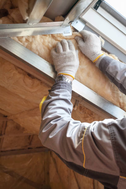 Best Spray Foam Insulation  in Black Creek, WI