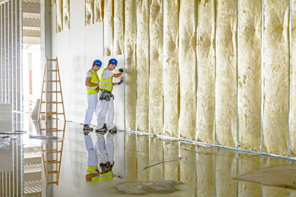 Best Insulation Contractor Near Me  in Black Creek, WI